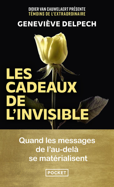 Les cadeaux de l'invisible