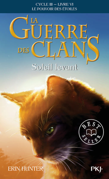 La guerre des Clans - cycle III Le pouvoir des étoiles - tome 6 Soleil levant