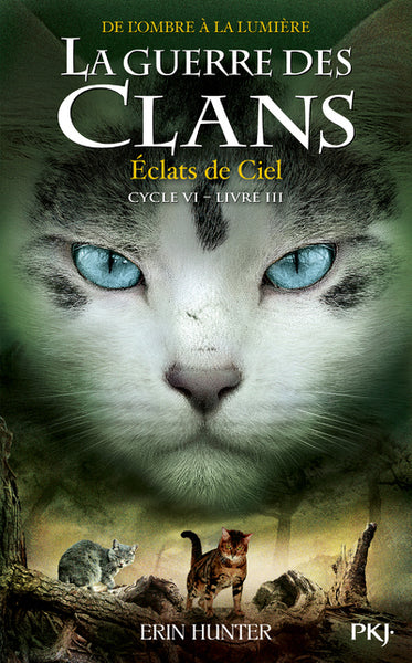 La guerre des clans, cycle vi - tome 3 éclats de ciel