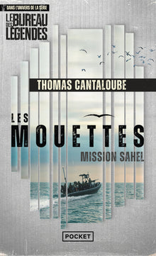 Les mouettes - Mission Sahel