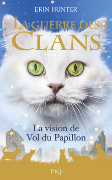 La vision de Vol du Papillon