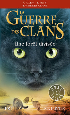 Une forêt divisée