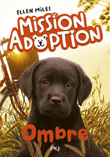 Mission adoption - Ombre