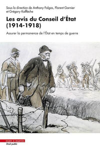 Les avis du Conseil d'État (1914-1918)