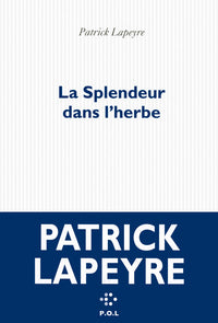 La splendeur dans l'herbe