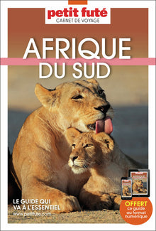 Guide Afrique du Sud 2020 Carnet Petit Futé