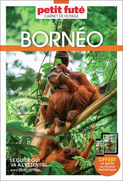 Guide Bornéo 2026 Carnet Petit Futé