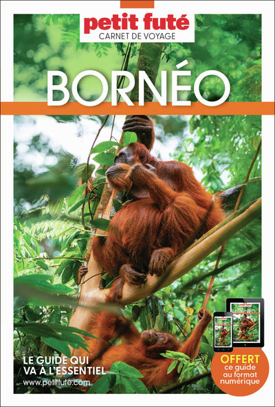 Guide Bornéo 2026 Carnet Petit Futé