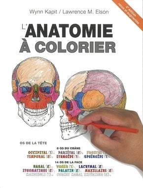 Anatomie à colorier