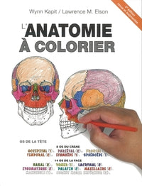 ANATOMIE A COLORIER 2EME