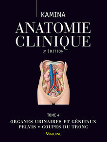 Organes urinaires et génitaux pelvis coupes du tronc
