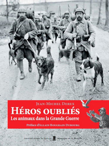 Héros oubliés : Animaux dans la Grande Guerre