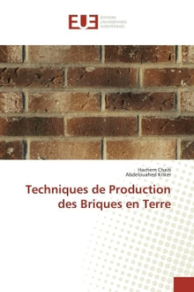 Techniques de production des briques en terre