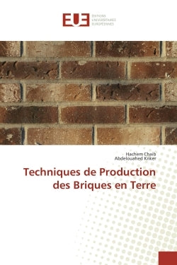 Techniques de production des briques en terre