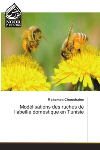Modélisations des ruches de l'abeille domestique en Tunisie