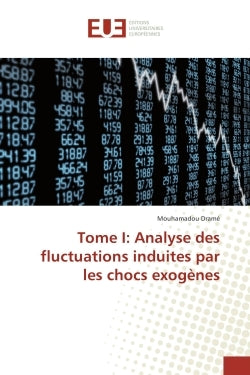 Tome I: Analyse des fluctuations induites par les chocs exogenes