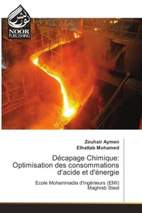 Décapage Chimique: Optimisation des consommations d'acide et d'énergie