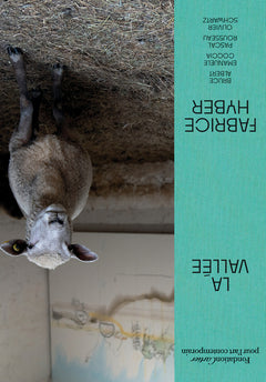 Fabrice Hyber, La Vallée