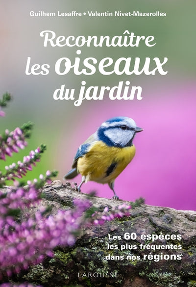Reconnaitre les oiseaux du jardin