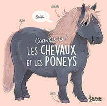 Connais-tu ? Les chevaux et les poneys