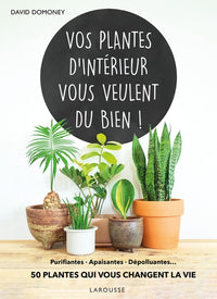 Vos plantes d'intérieur vous veulent du bien !