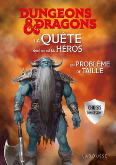 La Quête dont on est le héros - Un problème de taille