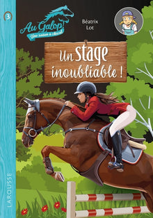 Roman au galop, une année à cheval - Un stage inoubliable