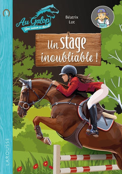 Roman au galop, une année à cheval - Un stage inoubliable
