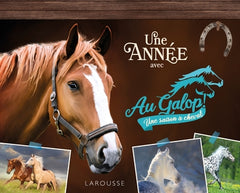 Une année avec Au galop