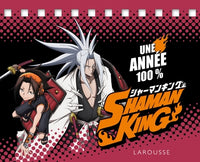 Une année 100 % Shaman King