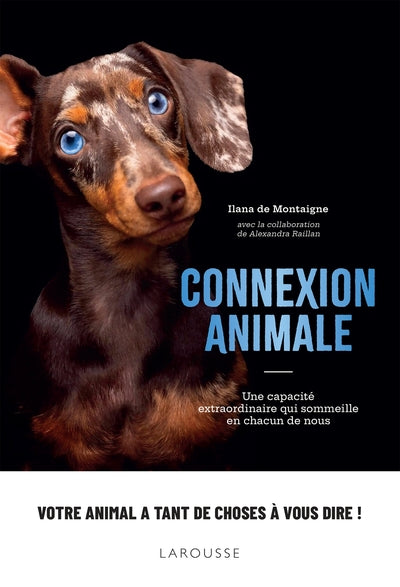 connexion animale