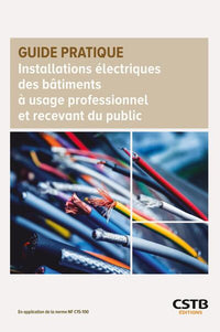 Installations électriques des bâtiments à usage professionnel et recevant du public