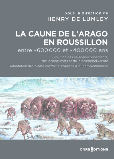 La Caune de l'Arago en Roussillon entre -600 000 et -400 000 ans
