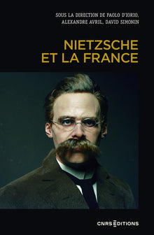 Nietzsche et la France