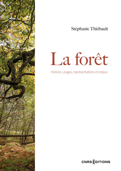 La forêt