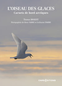 L'oiseau des glaces. Carnets de bord arctiques