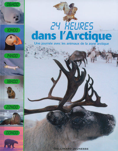 Dans l'Arctique une journée avec les animaux de la zone arctique