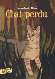 Chat perdu