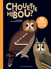 Chouette ou hibou ?