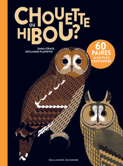 Chouette ou Hibou ?