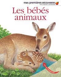 Les bébés animaux