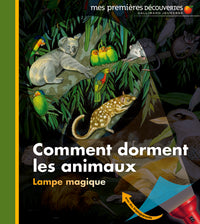 Comment dorment les animaux ?