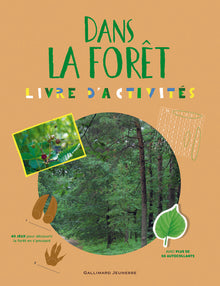 Dans la forêt