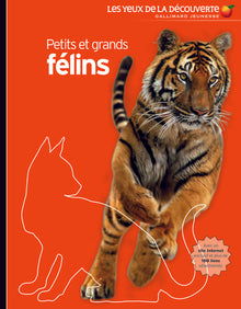 Petits et grands félins