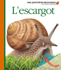 L'escargot