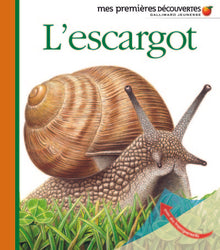L'escargot