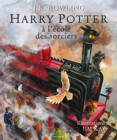 Harry Potter à l'école des sorciers