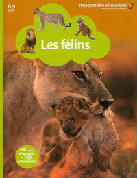 Les félins