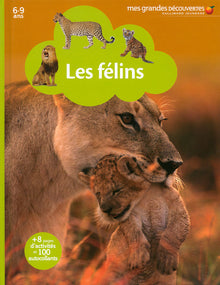 Les félins