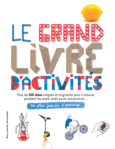 Le grand livre d'activités